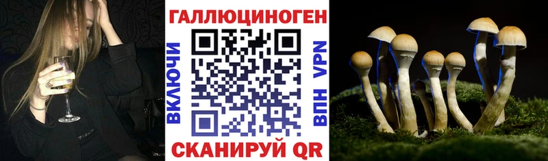 KRAKEN сайт  как найти   Новороссийск  Галлюциногенные грибы мицелий 