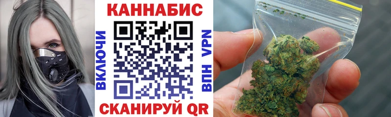 как найти закладки  Новороссийск  Бошки Шишки марихуана 